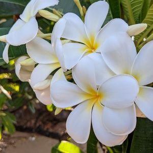 Meet your Posher, Bradley